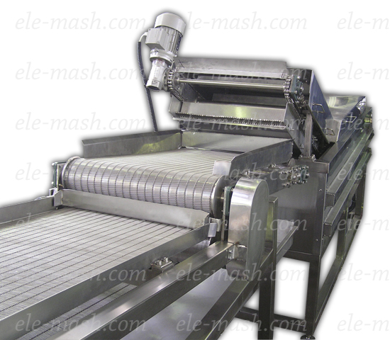 Chips frying line